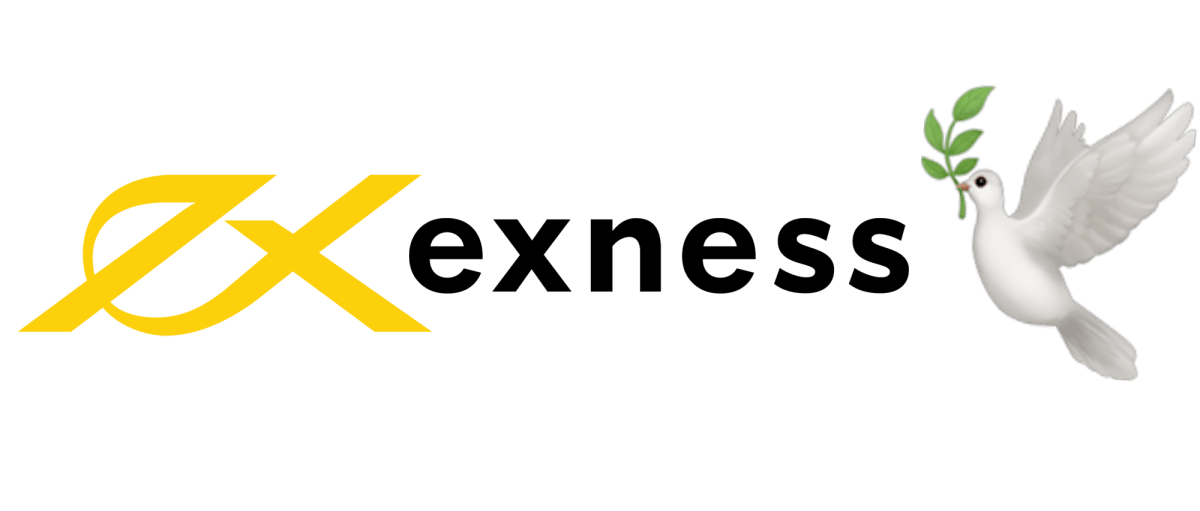 Understanding Your Live Exness Metatrader 5 Account